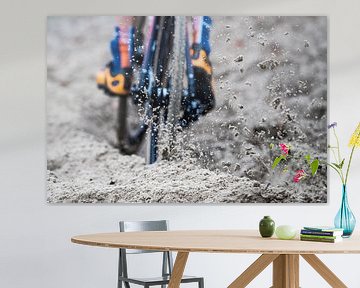 Loose Sand (Cyclocross) by Leon van Bon