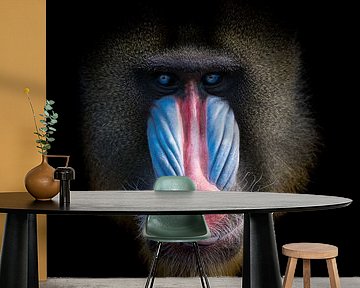 Mandril-Affe mit schönen Farben von Karin vd Waal