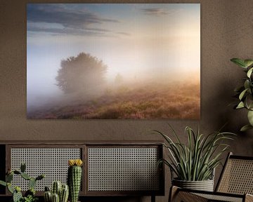 Misty Sunrise Posbank by Sander Grefte