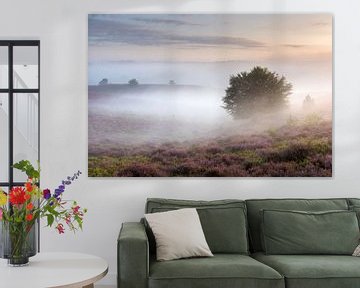 Schönes Licht und Nebel auf der Posbank von Sander Grefte