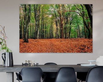 het bos vol herfstkleuren van eric van der eijk