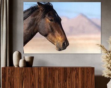 Chevaux sauvages dans le désert sur Ton van den Boogaard