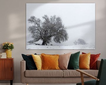 Willow in a winter landscape by Irene Damminga