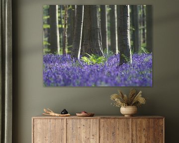 Bluebells by Muriel Polet