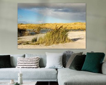 Landscape in the dunes of the North Sea island Amrum by Rico Ködder
