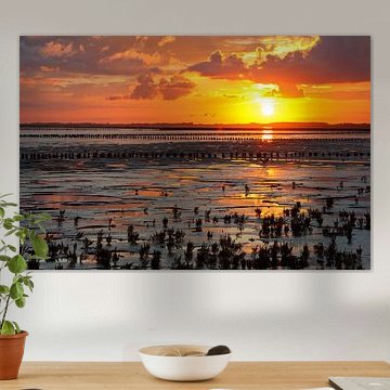 Sunrise over the Wadden Sea