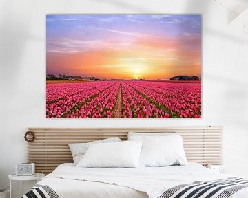 Tulpen velden op het platteland in Nederland bij zonsondergang van Eye on You