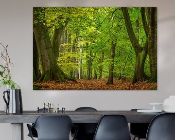 Clingendael van Mario Brussé Fotografie