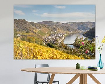 vue sur les vignobles le long de la Moselle sur Antwan Janssen