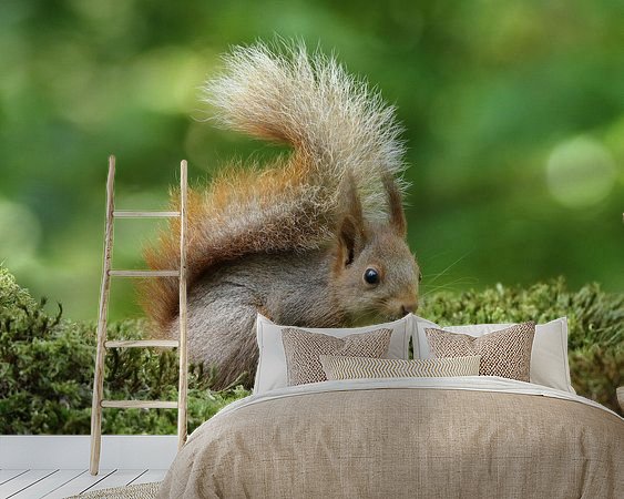 Voorbeeld van het werk in een kamer