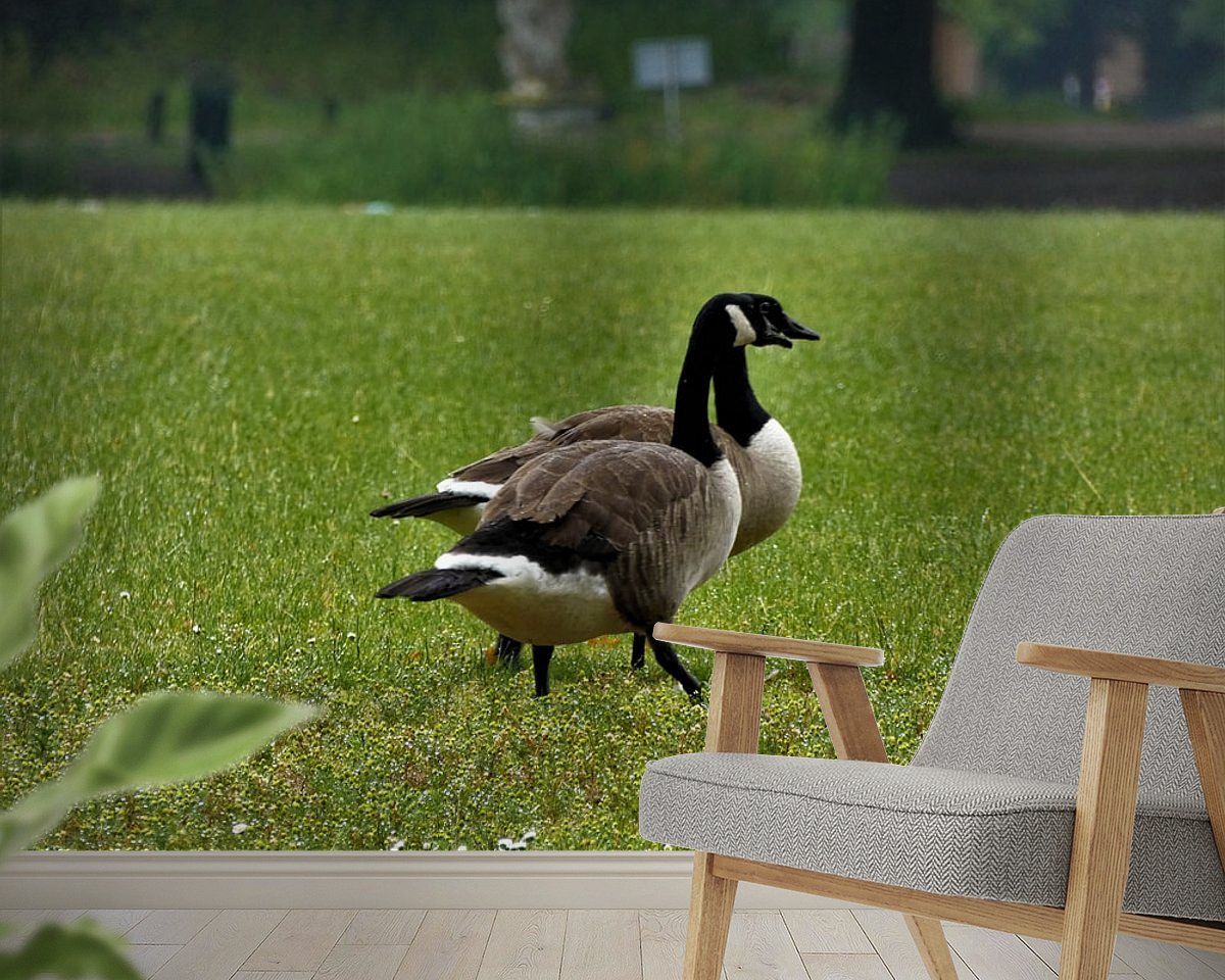 Raumvorschau
