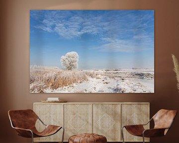 Winter Landscape by Volt