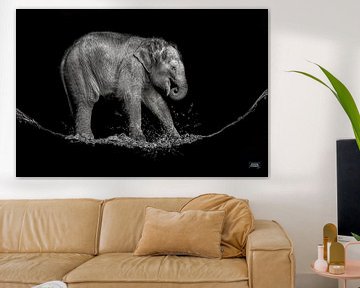 water olifantje van Jiske Wijmans @Artistieke Fotografie