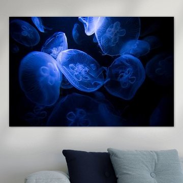 Licht in der Dunkelheit van Ulrich Brodde