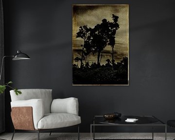 Les ombres noires by sophie etchart