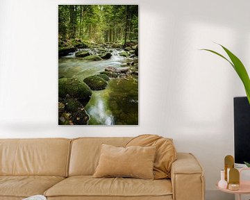 Brook run in the forest of Bavaria by Tobias Luxberg