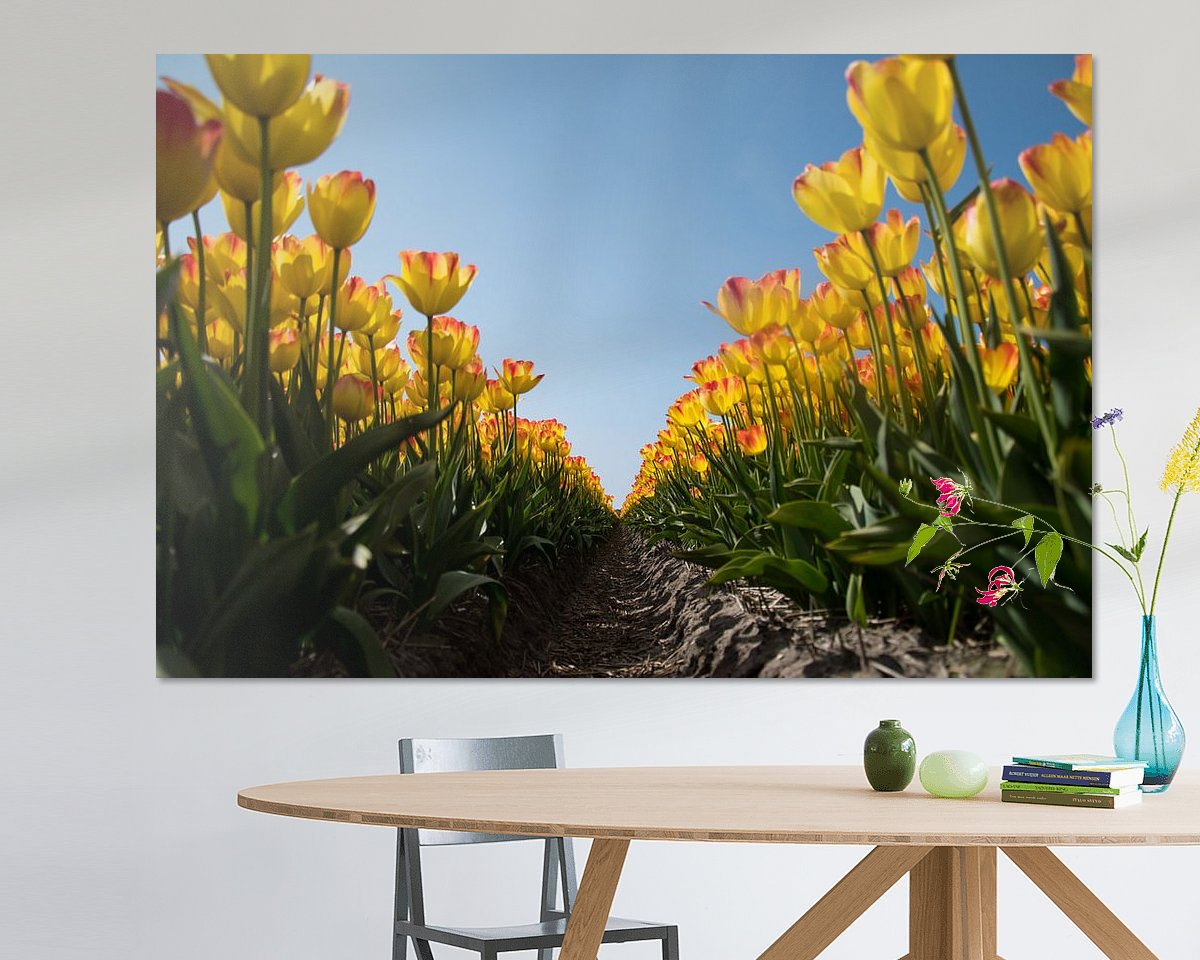 Voorbeeld van het werk in een kamer