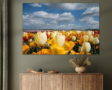 Tulipes sur Johan van der Helm