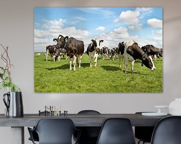 Koeien op het platteland van Nederland in de lente van Eye on You