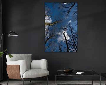 Bomen in de Lucht by Ronald Wilfred Jansen