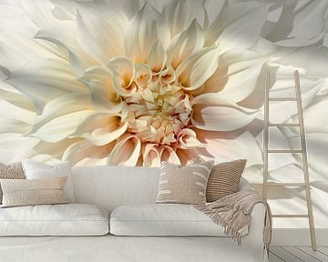 Dahlia white by Violetta Honkisz