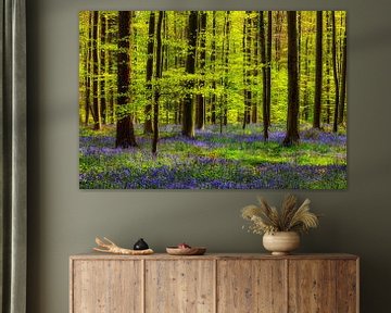 Spring Forest with Harebells by Daniela Beyer