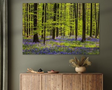 Lentebos met Harebells van Daniela Beyer