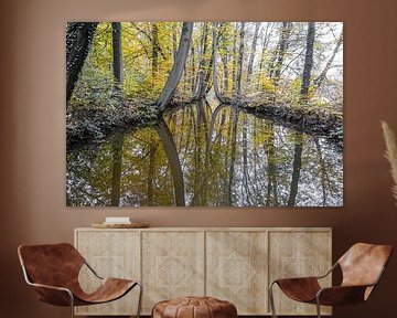 Reflectie Bomen in de Oelerbeek von Raymond Hofste