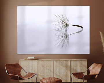 Dandelion Art - Druppel reflectie van Brigitte van Krimpen