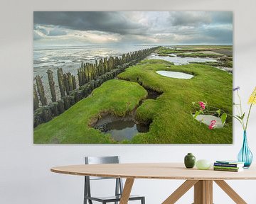 Wadden coast Peasens Moddergat