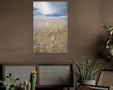 Het wad  van Martzen Fotografie