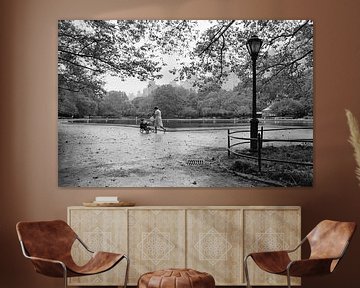 New York Central Park in the Fall von Raoul Suermondt