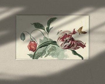 Tulpe und eine Mohnblume - Willem van Leen