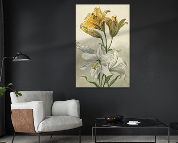 Gelbe und weiße Lilien - Willem van Leen
