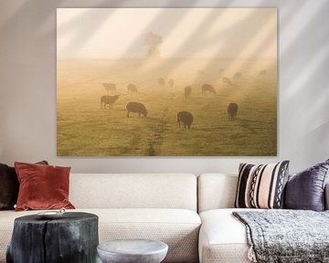 Foggy sheep by Roelof Nijholt