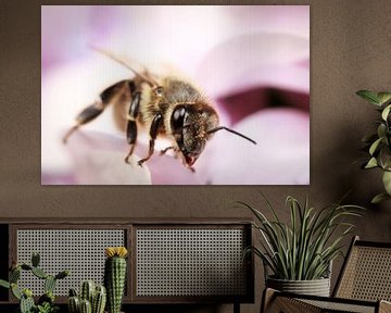 Bijen op paarse bloem van Luis Boullosa