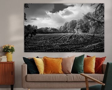 Corn fields in automn van Luis Boullosa