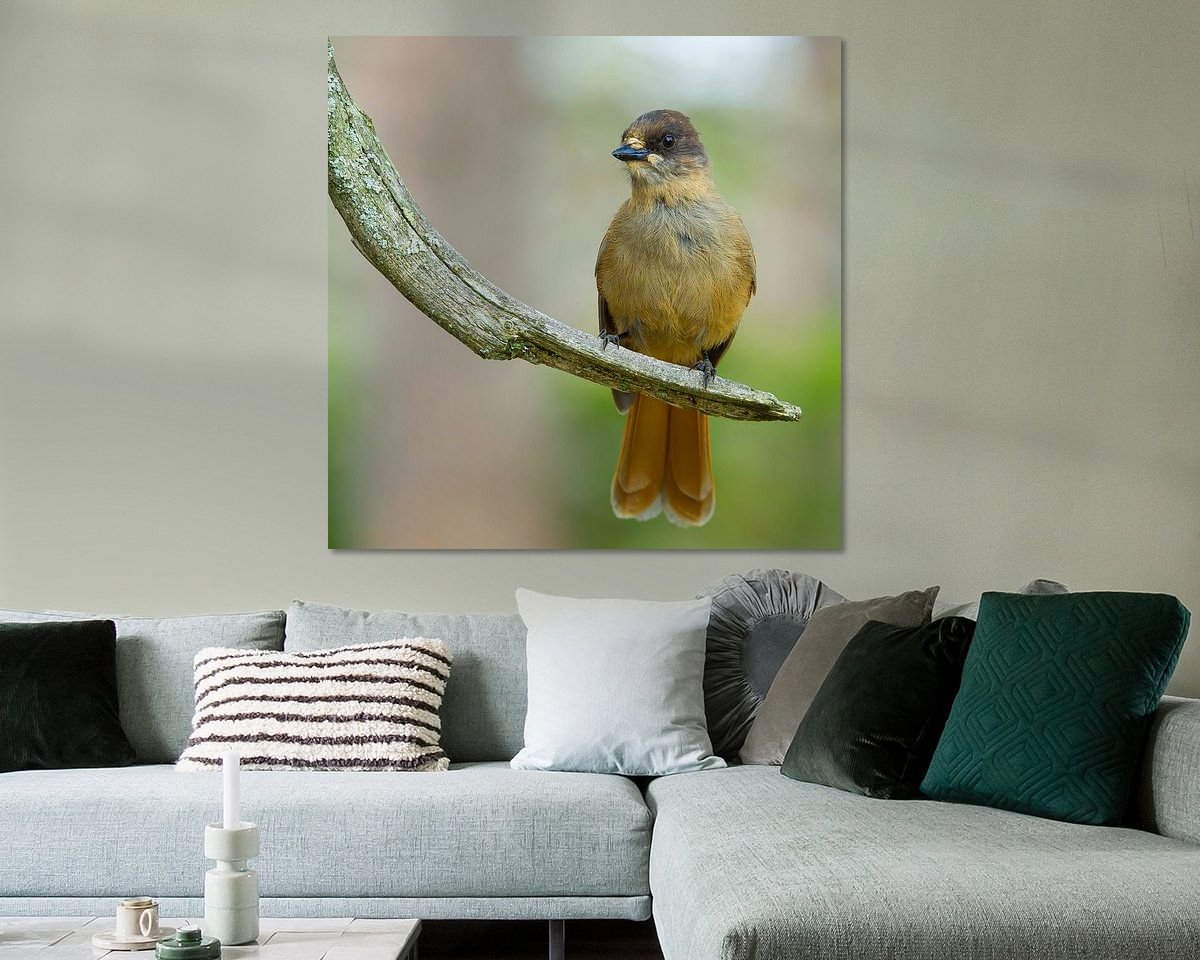 Raumvorschau
