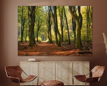 Dansende bomen Speulderbos in de herfst van Cor de Hamer