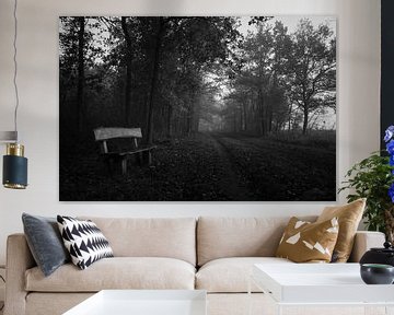 Wooden bench in an automn forest, black and white von Luis Boullosa