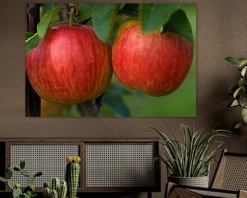 2 appels van George Burggraaff