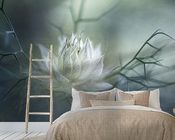 Mysterious  by Christl Deckx