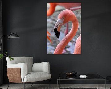 Drinking Flamingo by Ivo Schuckmann