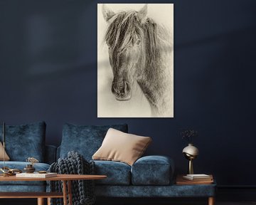 The Horse van Renald Bourque