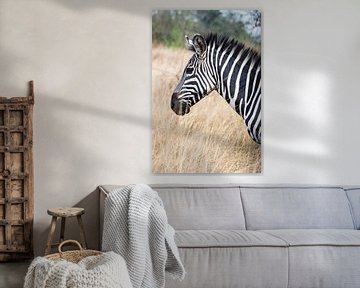 Oegandese Zebra van Sander RB