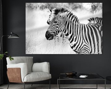 Uganda Zebra von Sander RB