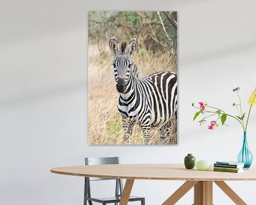 Oegandese zebra van Sander RB