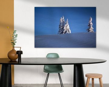 Een winterlandschap in de blauwe koude lucht van Barbara Koppe