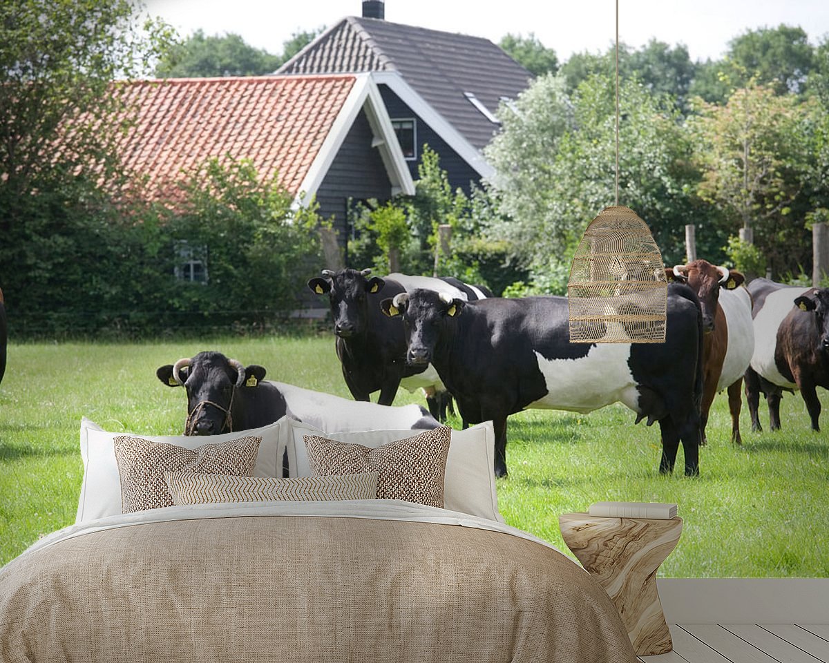 Raumvorschau