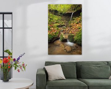 Waterval  Butzerbachtal tijdens de herfst in de Eifel, Duitsland. van Rob Christiaans